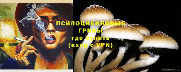 героин Инсар