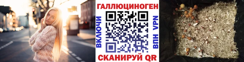 кракен онион  Чебаркуль  Галлюциногенные грибы мицелий  где купить наркоту 