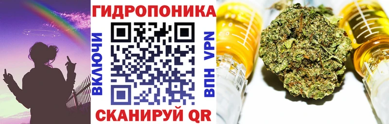 купить закладку  Чебаркуль  Бошки марихуана тримм 